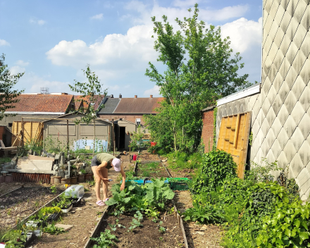 Projecten Klimaatfonds #VANRSL