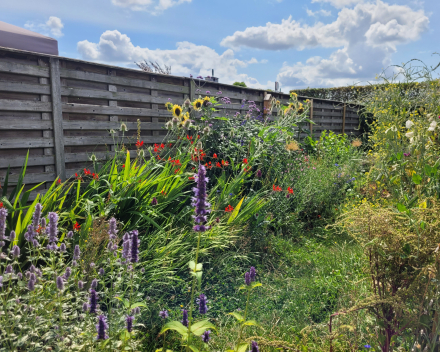 Bloemenborder