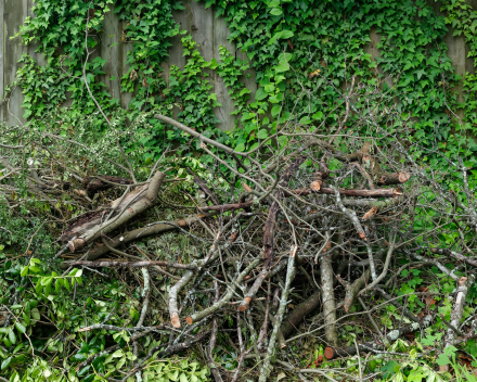 Slim omgaan met tuinafval