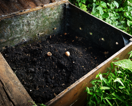 Slim omgaan met tuinafval