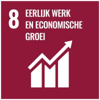 SDG 8