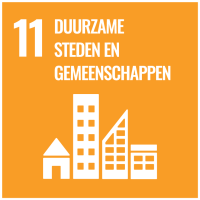 SDG 11