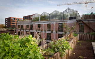 PAKT Antwerpen stadslandbouw op het dak